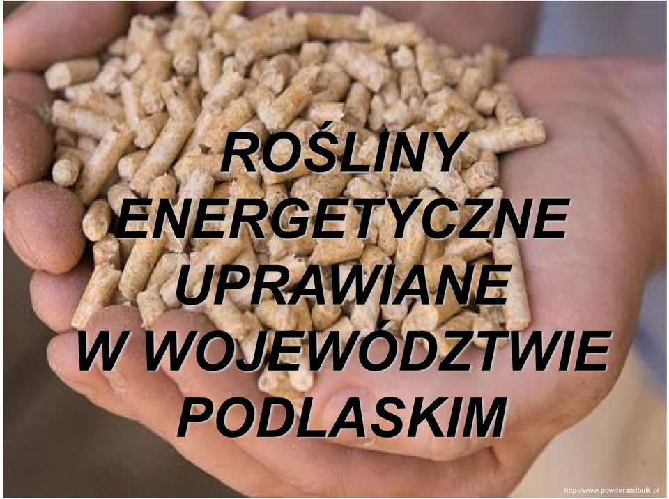 WOJEWÓDZTWIE