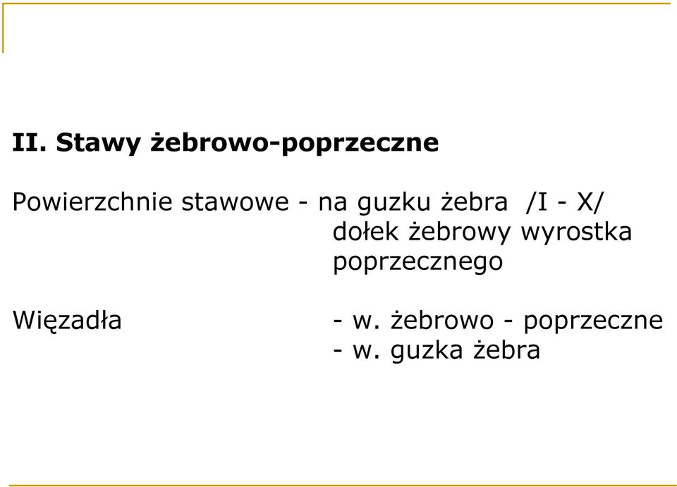 - X/ dołek Ŝebrowy wyrostka poprzecznego