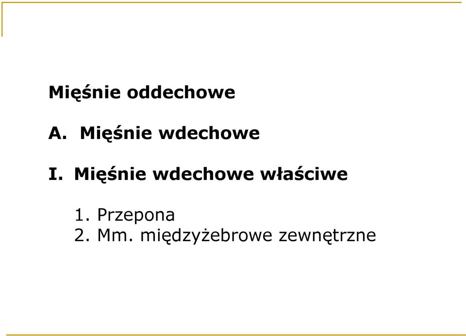 Mięśnie wdechowe właściwe 1.