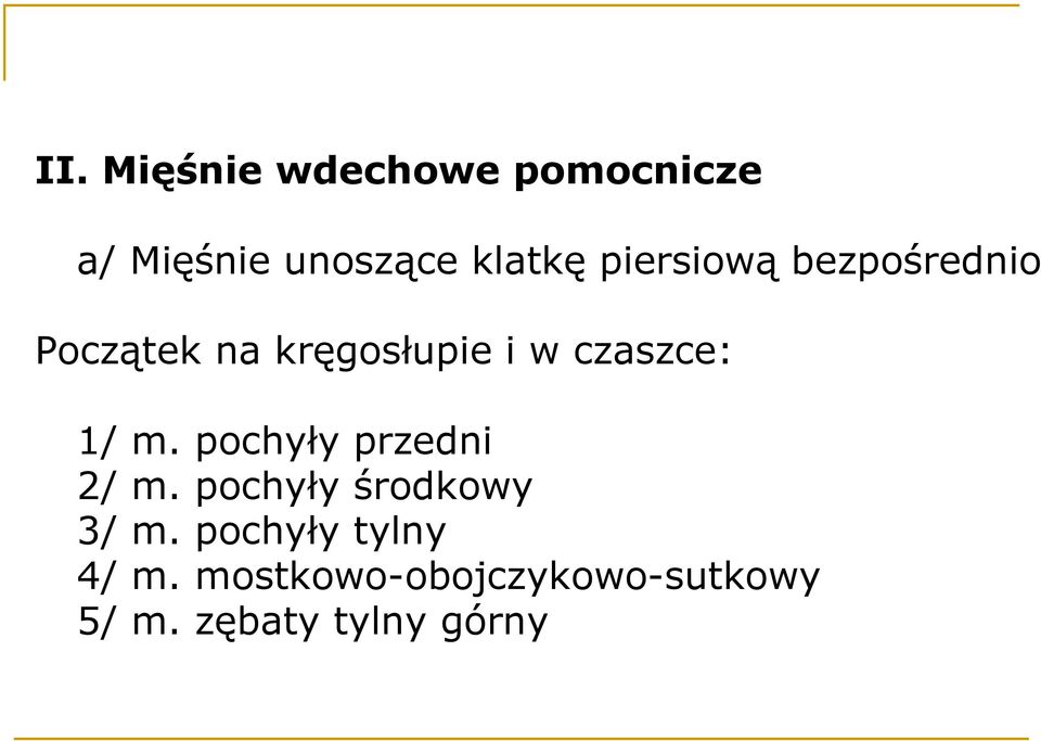 1/ m. pochyły przedni 2/ m. pochyły środkowy 3/ m.