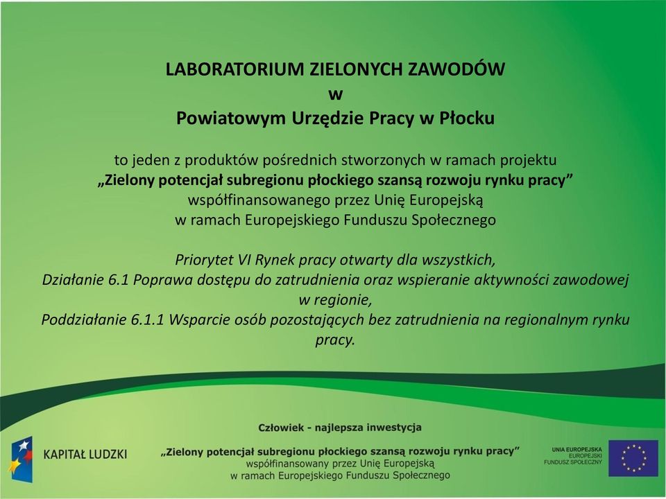 Europejskiego Funduszu Społecznego Priorytet VI Rynek pracy otwarty dla wszystkich, Działanie 6.