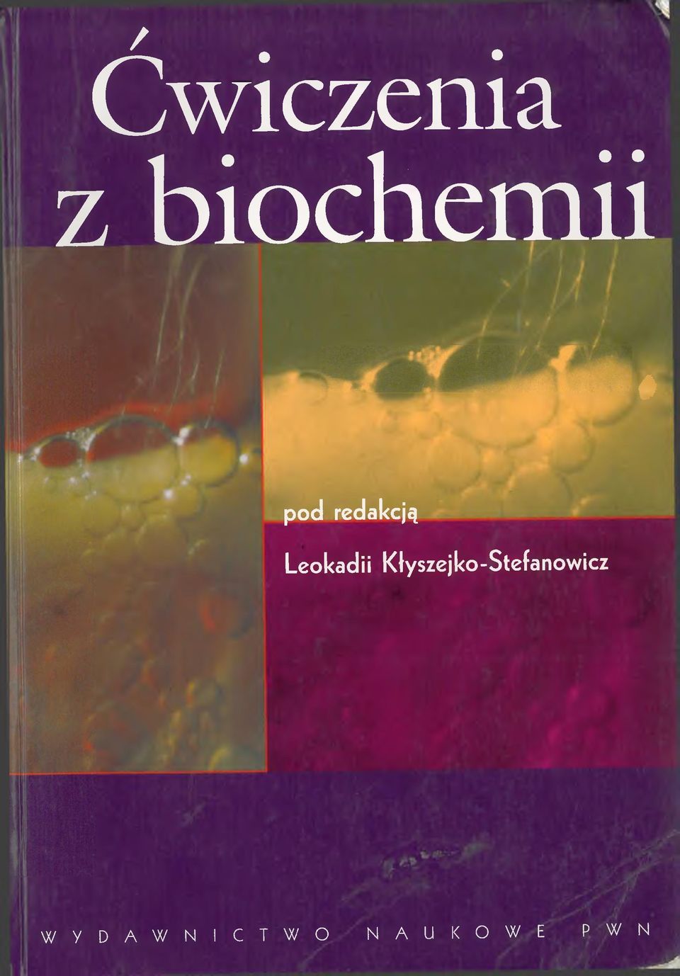 Kłyszejko-Stefanowicz W Y D