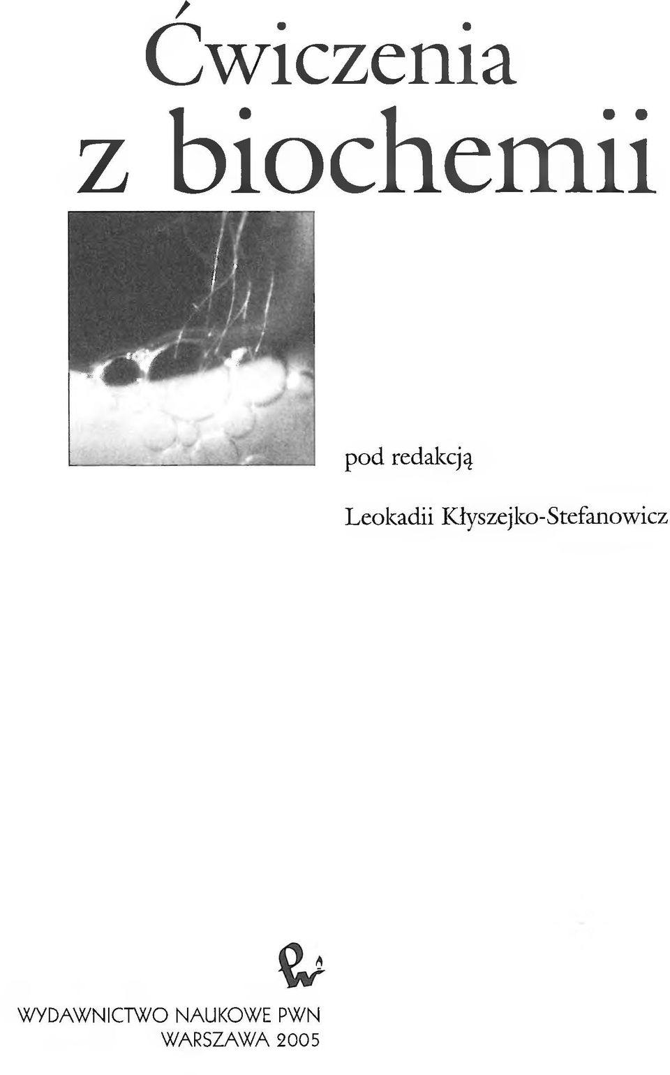 Kłyszejko-Stefanowicz