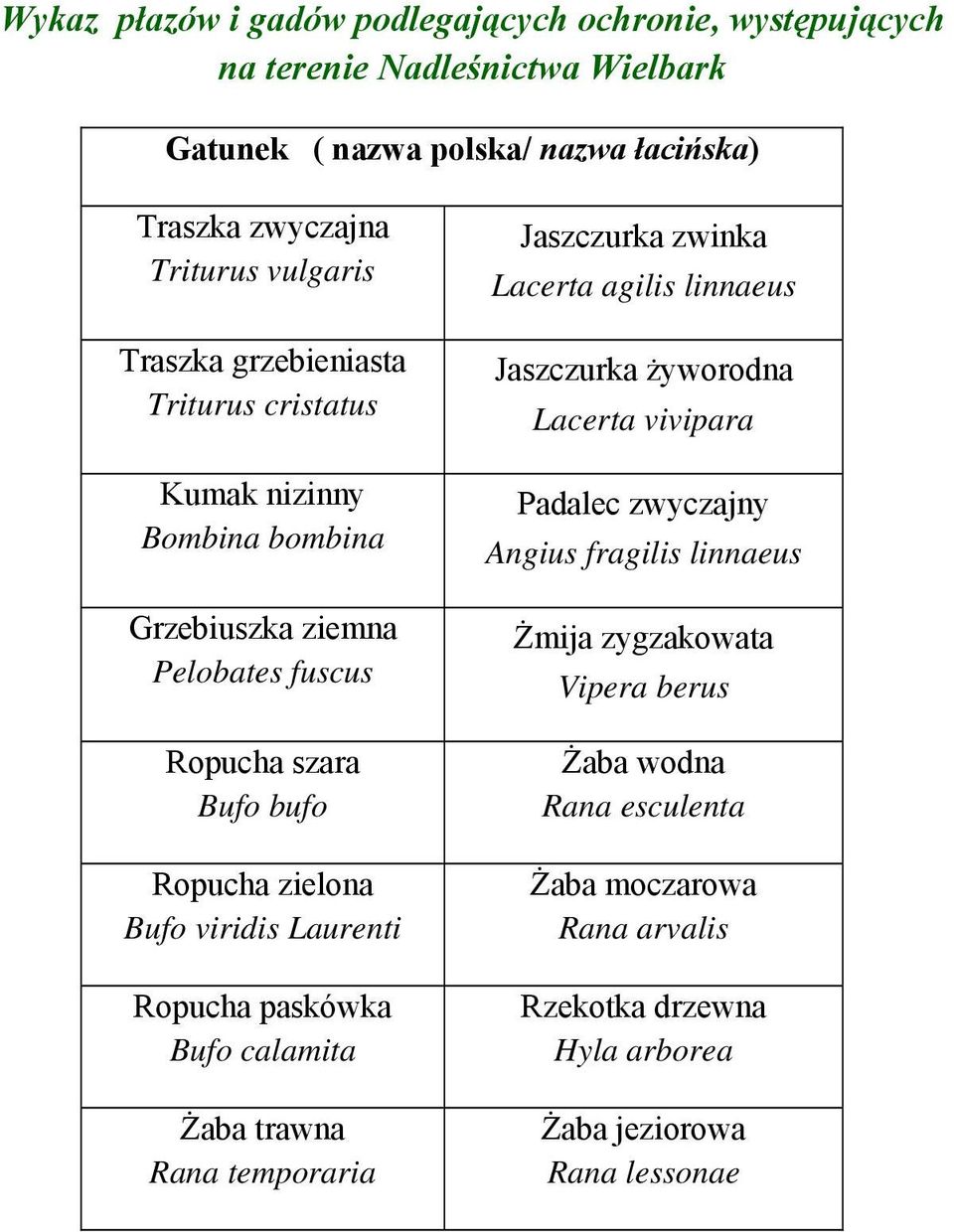 viridis Laurenti Ropucha paskówka Bufo calamita Żaba trawna Rana temporaria Jaszczurka zwinka Lacerta agilis linnaeus Jaszczurka żyworodna Lacerta vivipara Padalec