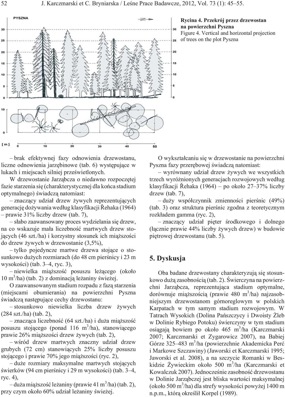 6) wystêpuj¹ce w lukach i miejscach silniej przeœwietlonych.