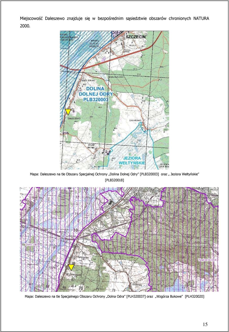 Mapa: Daleszewo na tle Obszaru Specjalnej Ochrony Dolina Dolnej Odry [PLB320003]