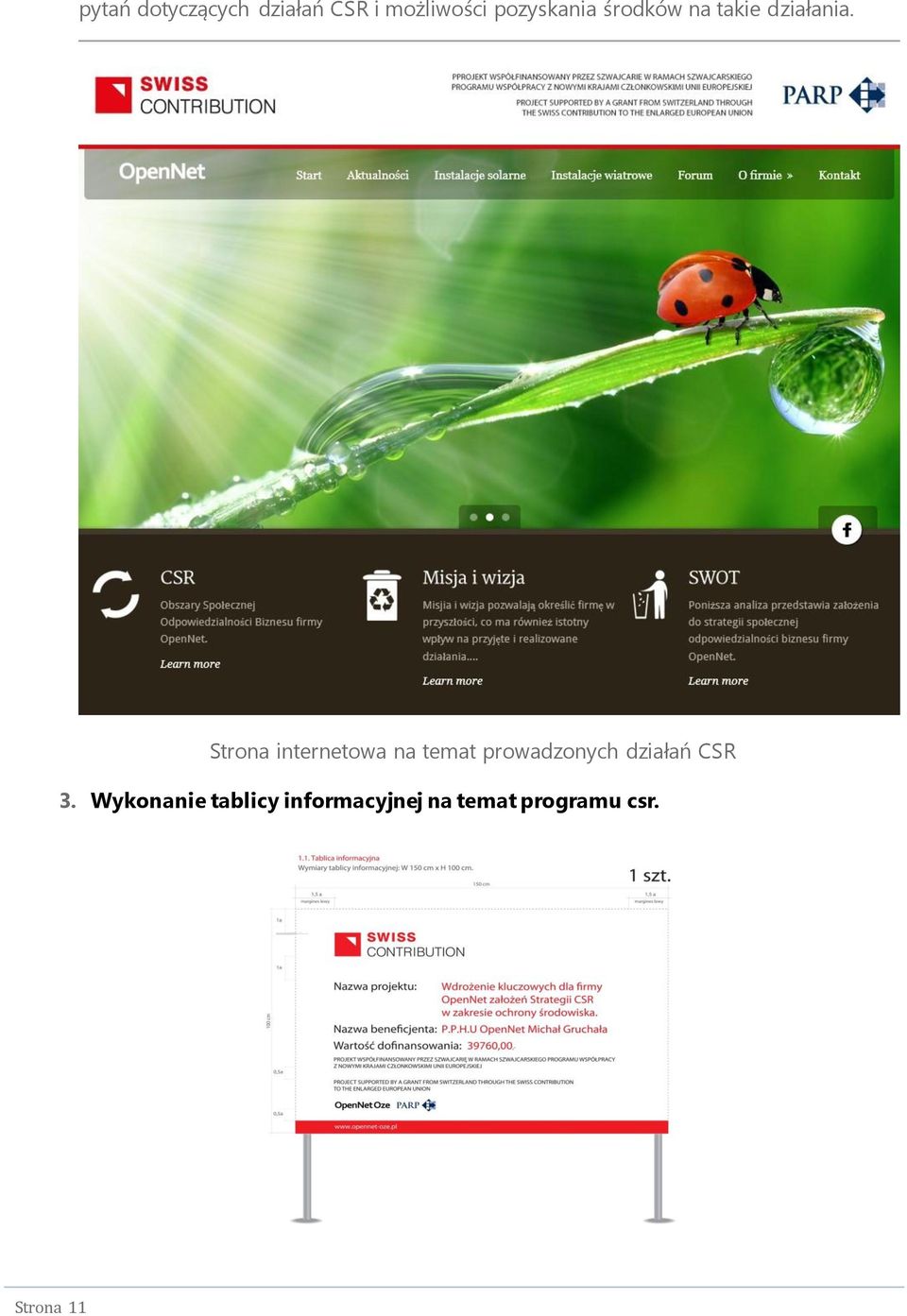 Strona internetowa na temat prowadzonych działań