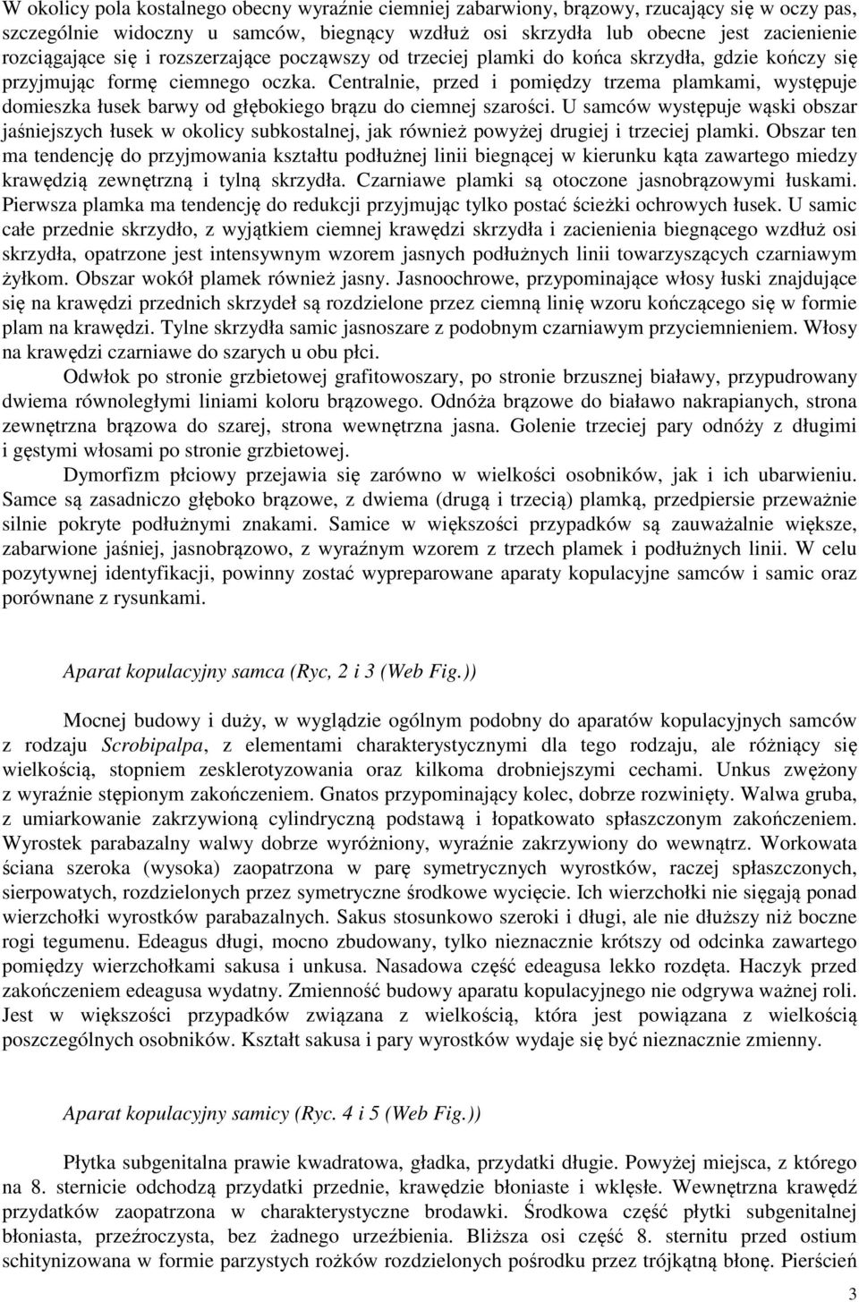 Centralnie, przed i pomiędzy trzema plamkami, występuje domieszka łusek barwy od głębokiego brązu do ciemnej szarości.