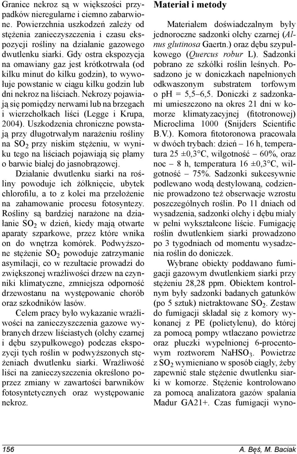 Nekrozy pojwiją się pomiędzy nerwmi lub n brzegh i wierzhołkh liśi (Legge i Krup, 2004).