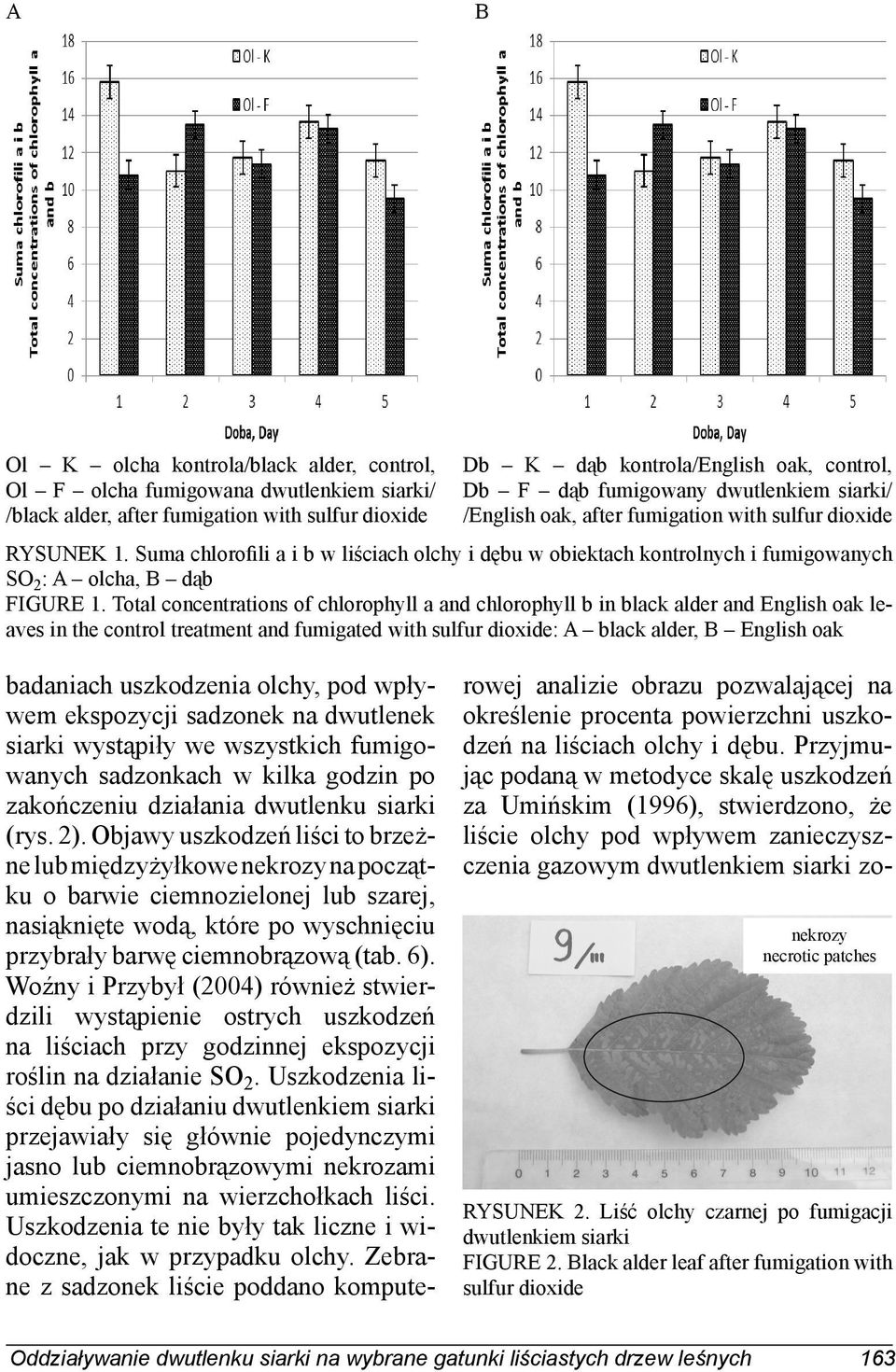 Totl onentrtions of hlorophyll nd hlorophyll b in blk lder nd English ok leves in the ontrol tretment nd fumigted with sulfur dioxide: A blk lder, B English ok bdnih uszkodzeni olhy, pod wpływem