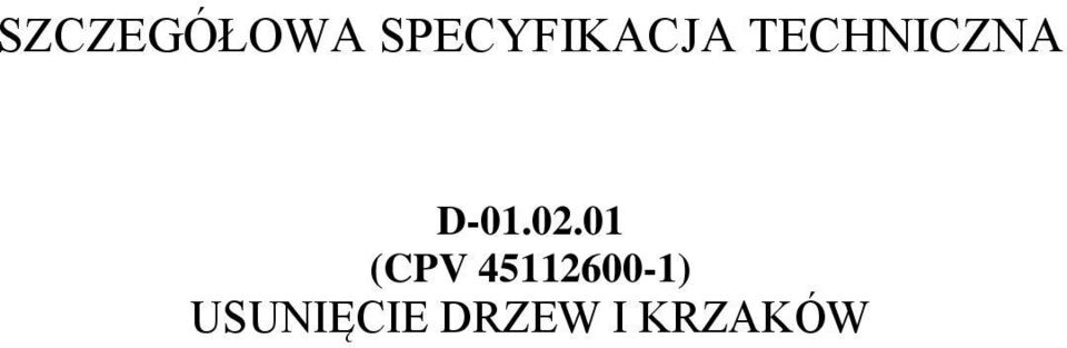 TECHNICZNA D-01.02.