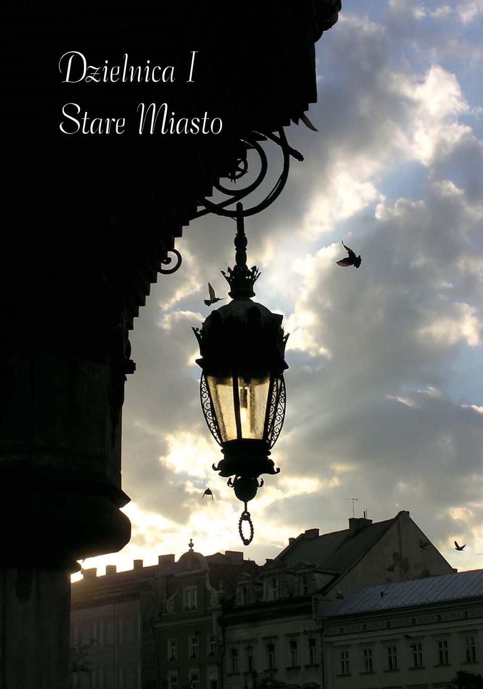 Miasto