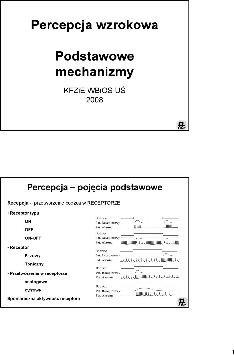 receptorze analogowe cyfrowe Spontaniczna aktywność receptora Bodziec Pot. Receptorowy Pot. Aksonu Bodziec Pot.