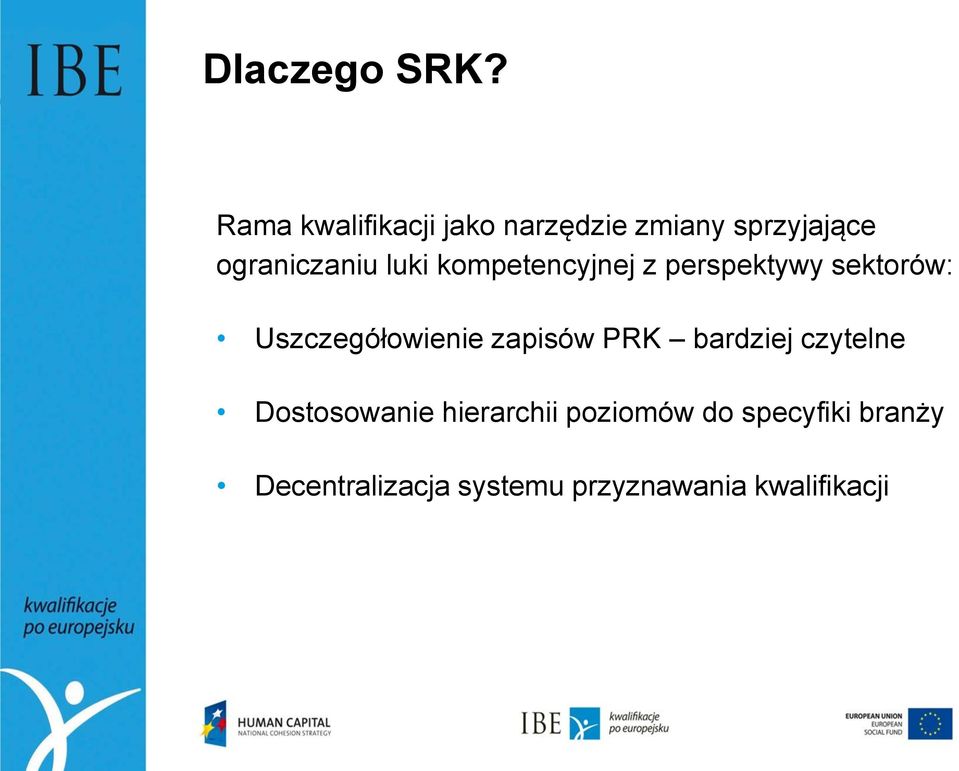 luki kompetencyjnej z perspektywy sektorów: Uszczegółowienie