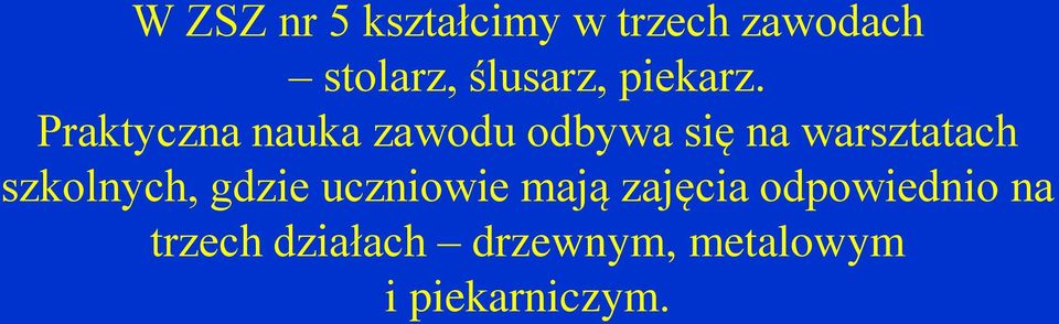 Praktyczna nauka zawodu odbywa się na warsztatach