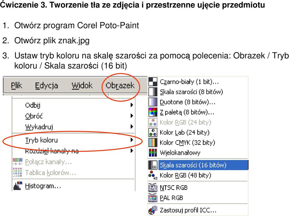 Otwórz program Corel Poto-Paint 2. Otwórz plik znak.jpg 3.
