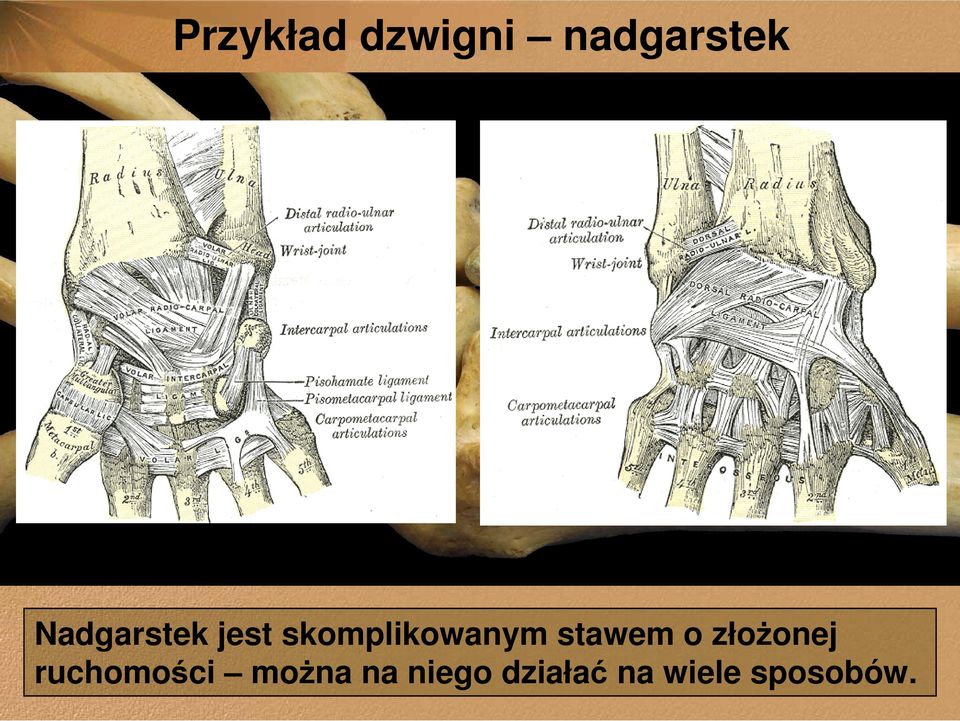 stawem o złoŝonej ruchomości