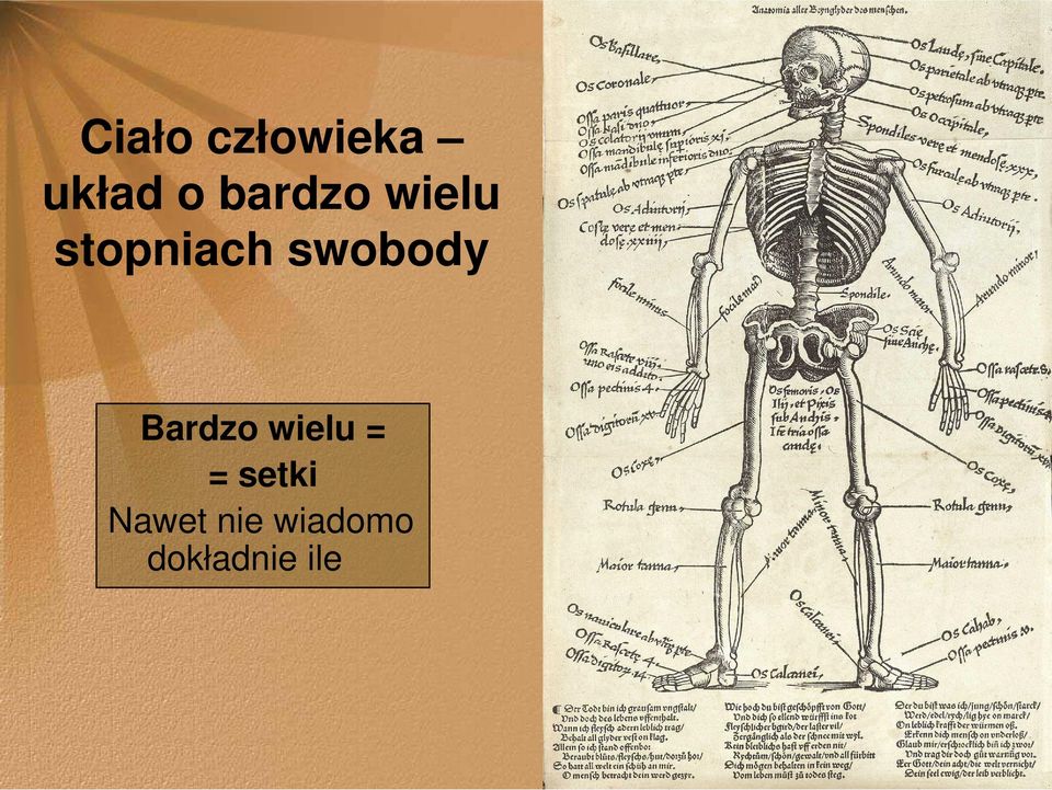 swobody Bardzo wielu = =