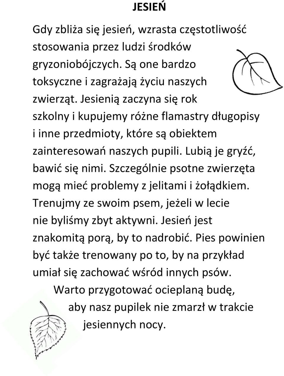 Szczególnie psotne zwierzęta mogą mied problemy z jelitami i żołądkiem. Trenujmy ze swoim psem, jeżeli w lecie nie byliśmy zbyt aktywni.