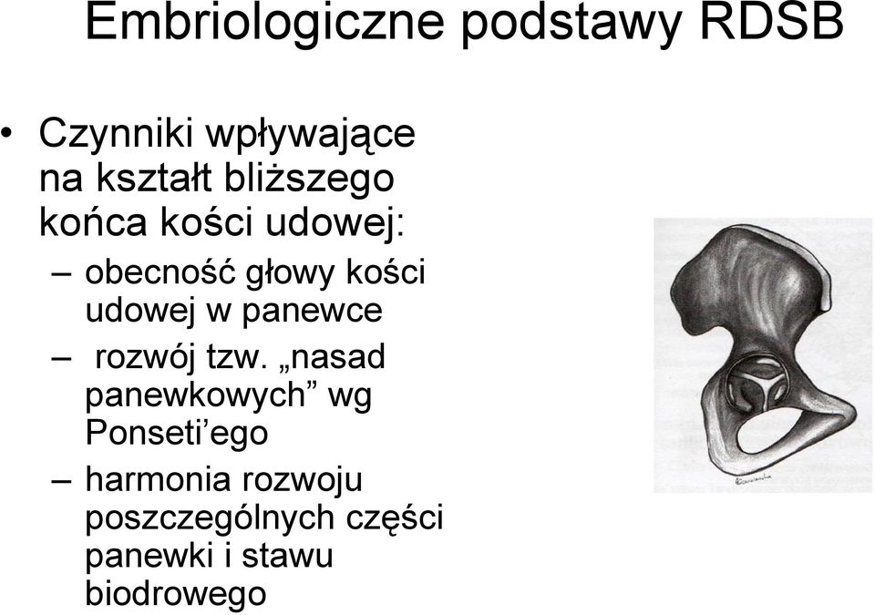 panewce rozwój tzw.