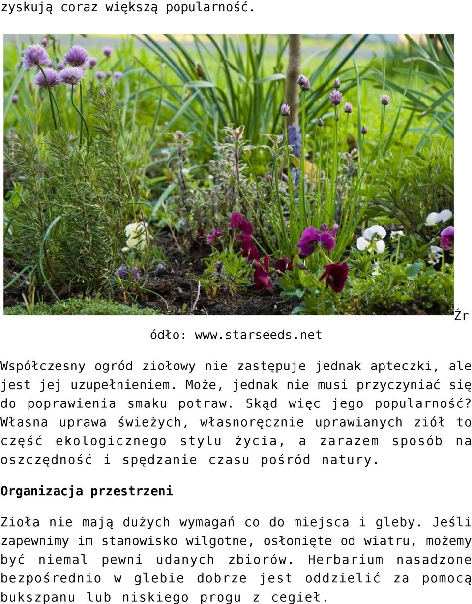 Własna uprawa świeżych, własnoręcznie uprawianych ziół to część ekologicznego stylu życia, a zarazem sposób na oszczędność i spędzanie czasu pośród natury.