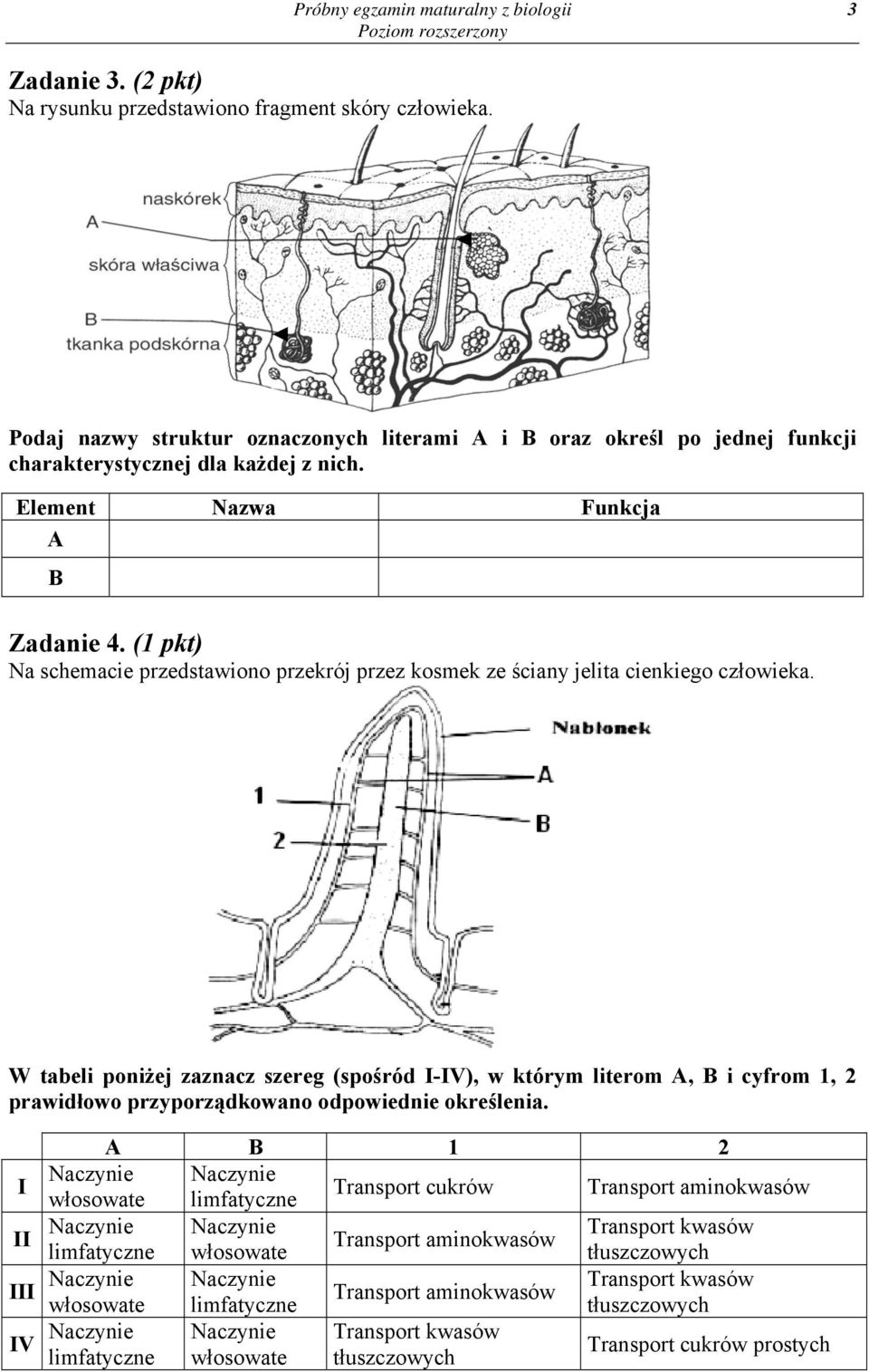 (1 pkt) Na schemacie przedstawiono przekrój przez kosmek ze ściany jelita cienkiego człowieka.