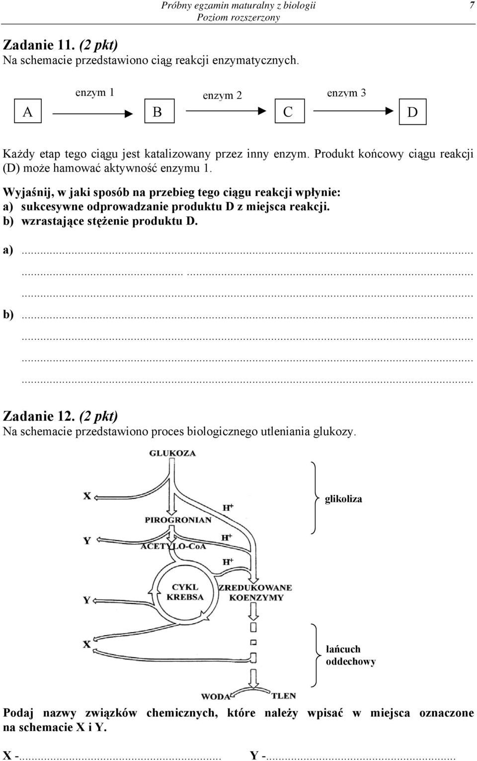 Produkt końcowy ciągu reakcji (D) może hamować aktywność enzymu 1.