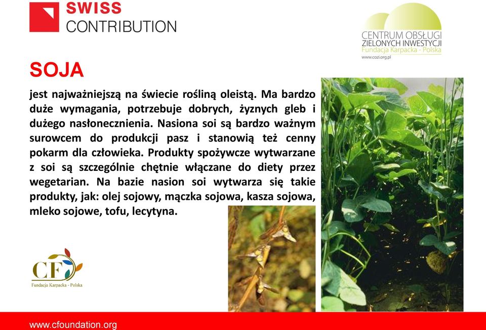 Nasiona soi są bardzo ważnym surowcem do produkcji pasz i stanowią też cenny pokarm dla człowieka.