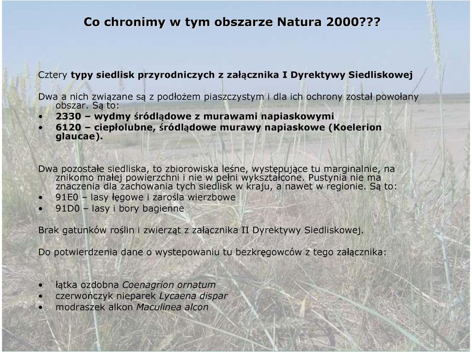 Są to: 2330 wydmy śródlądowe z murawami napiaskowymi 6120 ciepłolubne, śródlądowe murawy napiaskowe (Koelerion glaucae).