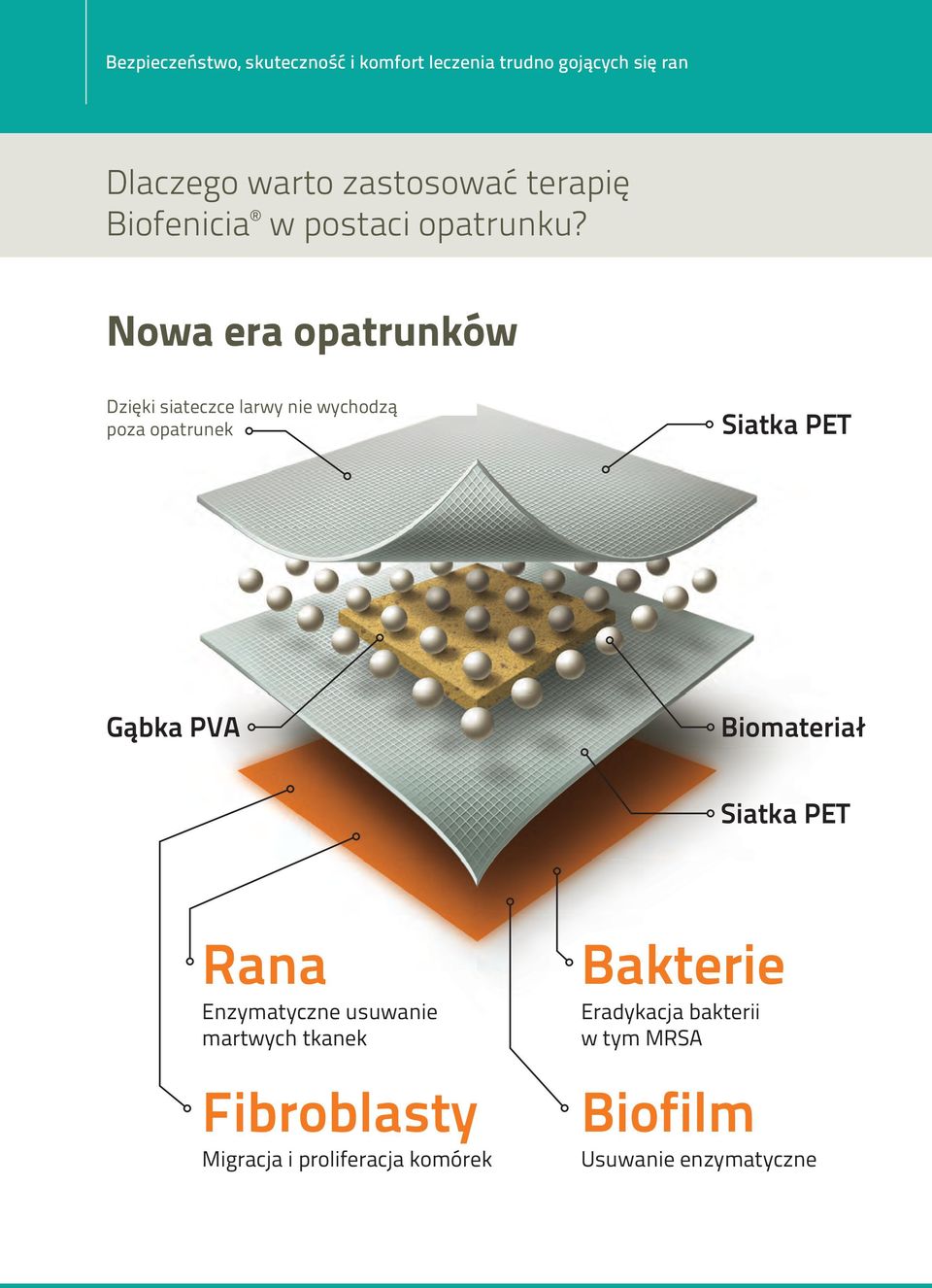 Nowa era opatrunków Dzięki siateczce larwy nie wychodzą poza opatrunek Siatka PET Gąbka PVA