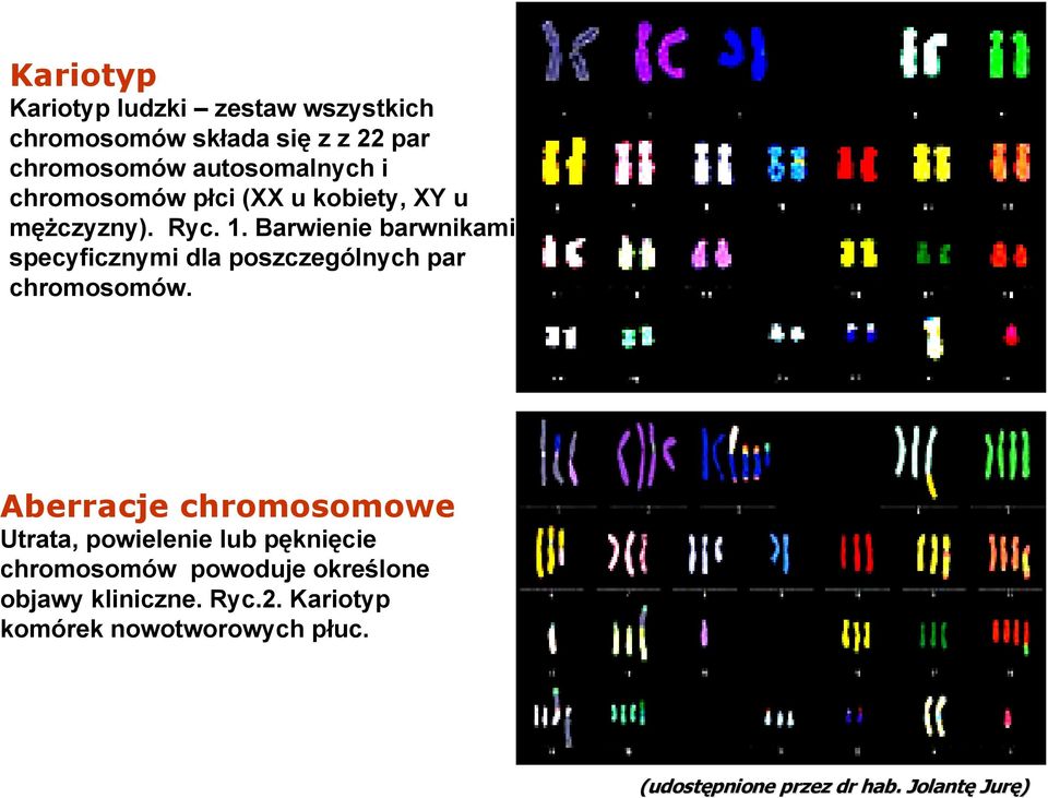 Barwienie barwnikami specyficznymi dla poszczególnych par chromosomów.