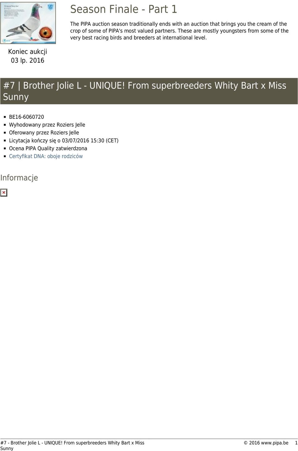From superbreeders Whity Bart x Miss BE16-6060720 Wyhodowany przez Roziers Jelle Oferowany przez Roziers Jelle Licytacja kończy się o 03/07/2016 15:30 (CET)
