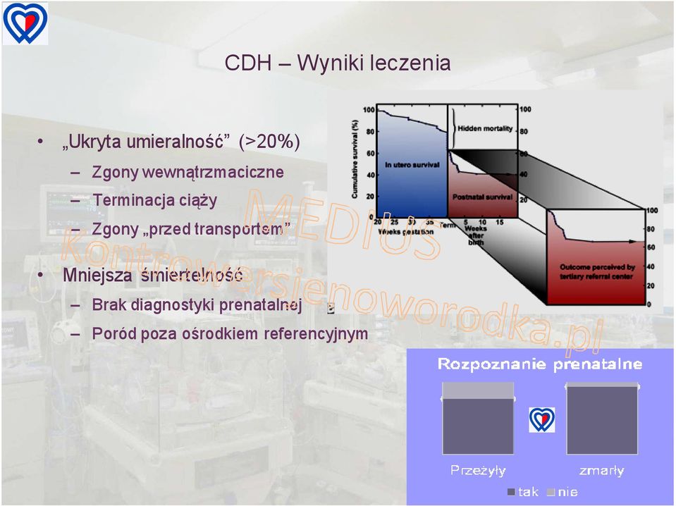 przed transportem Mniejsza śmiertelność Brak