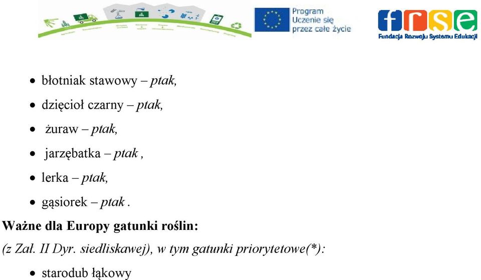 Ważne dla Europy gatunki roślin: (z Zał. II Dyr.