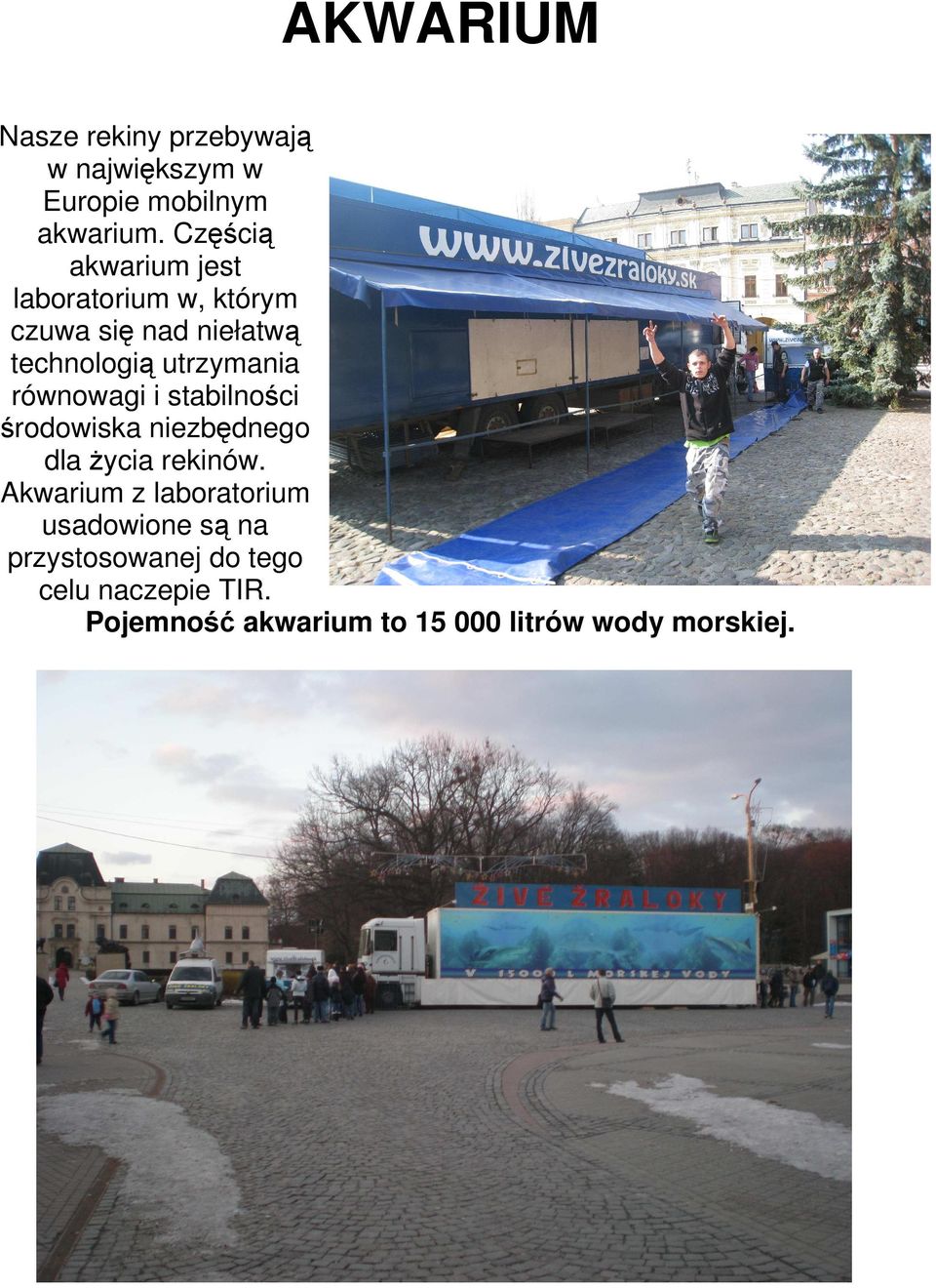 równowagi i stabilności środowiska niezbędnego dla życia rekinów.