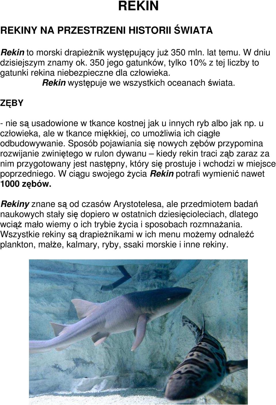 ZĘBY - nie są usadowione w tkance kostnej jak u innych ryb albo jak np. u człowieka, ale w tkance miękkiej, co umożliwia ich ciągłe odbudowywanie.