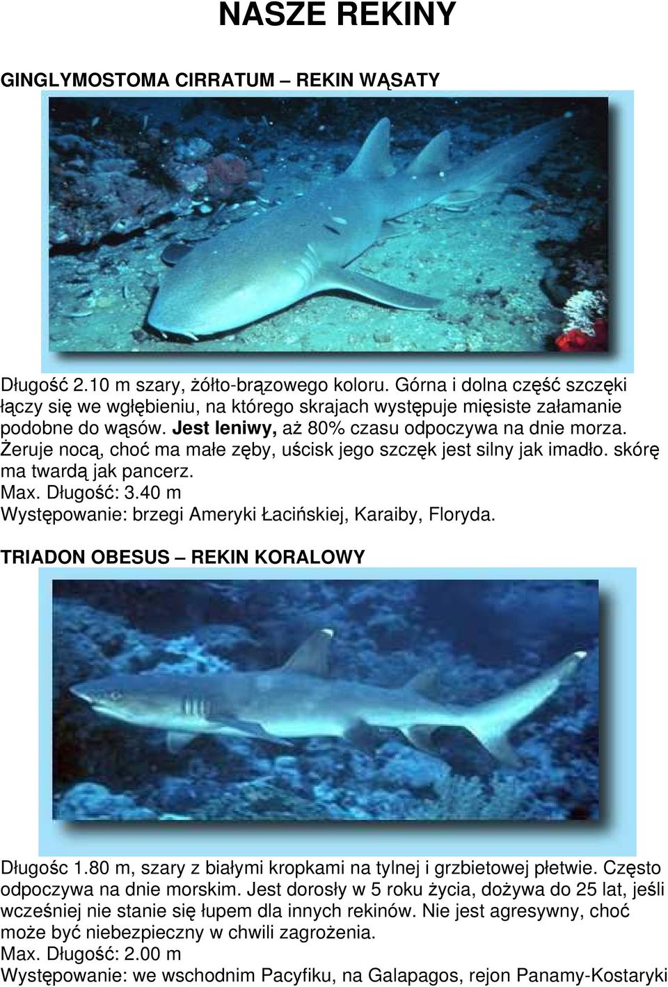 Żeruje nocą, choć ma małe zęby, uścisk jego szczęk jest silny jak imadło. skórę ma twardą jak pancerz. Max. Długość: 3.40 m Występowanie: brzegi Ameryki Łacińskiej, Karaiby, Floryda.