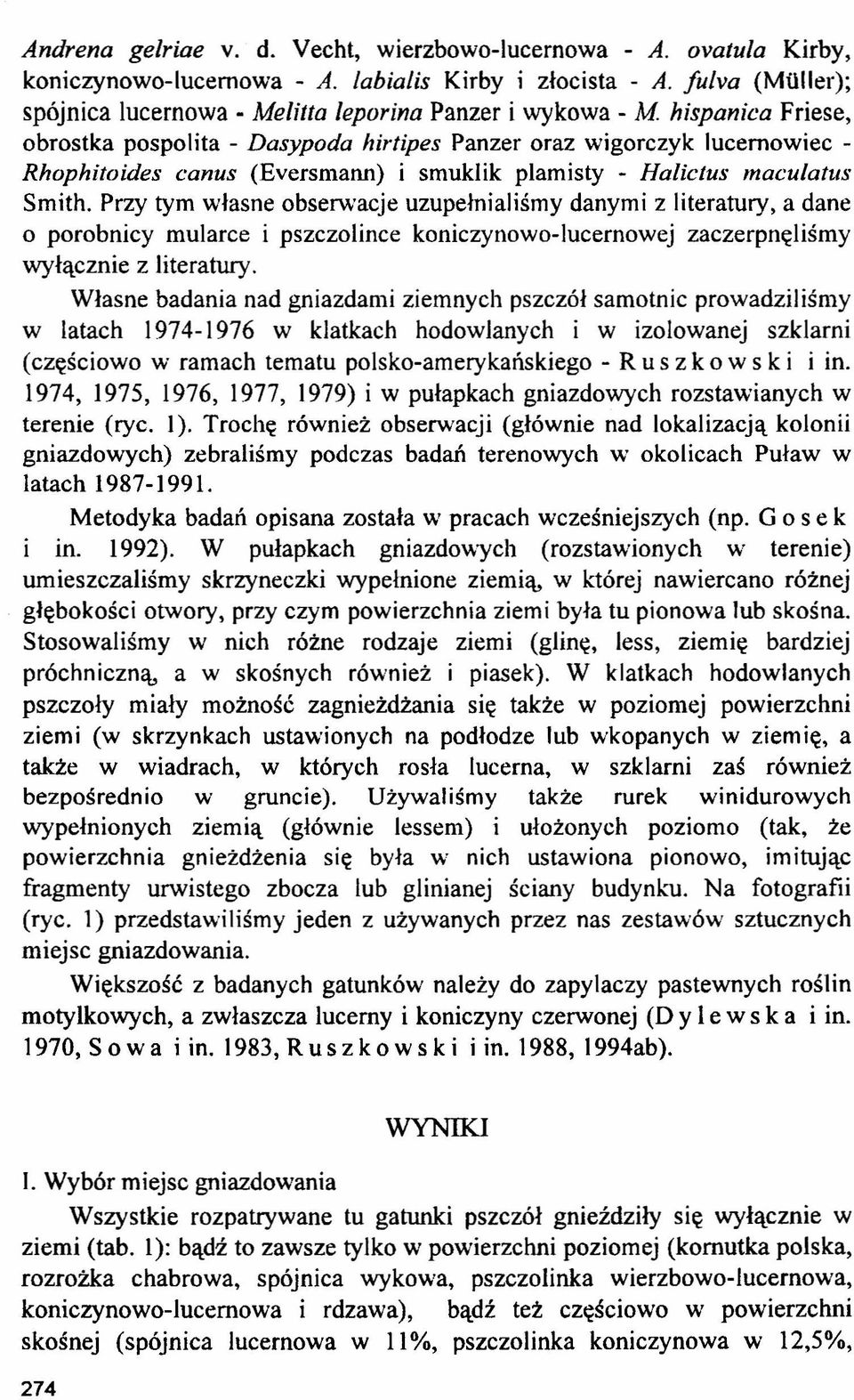 smuklik plamisty - Halictus maculatus Smith.