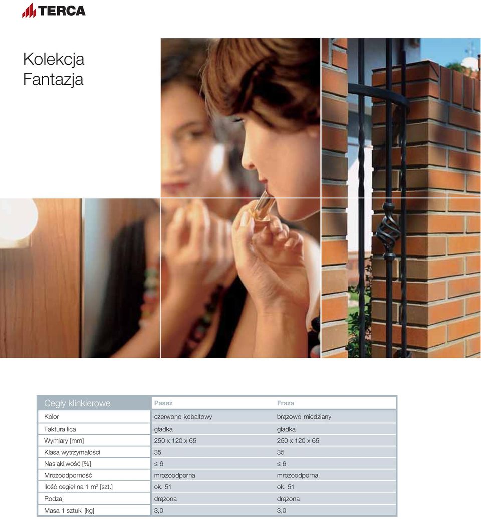 65 Klasa wytrzymałości 35 35 Nasiąkliwość [%] 6 6 Mrozoodporność mrozoodporna