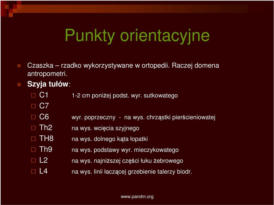 poprzeczny - na wys. chrząstki pierścieniowatej na wys. wcięcia szyjnego na wys.