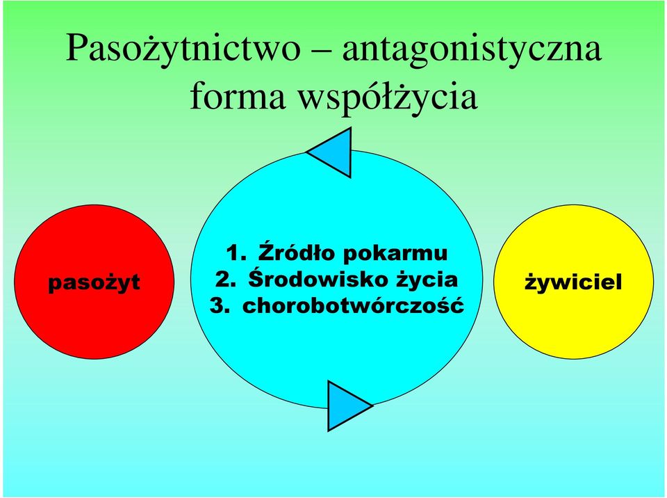 Źródło pokarmu 2.