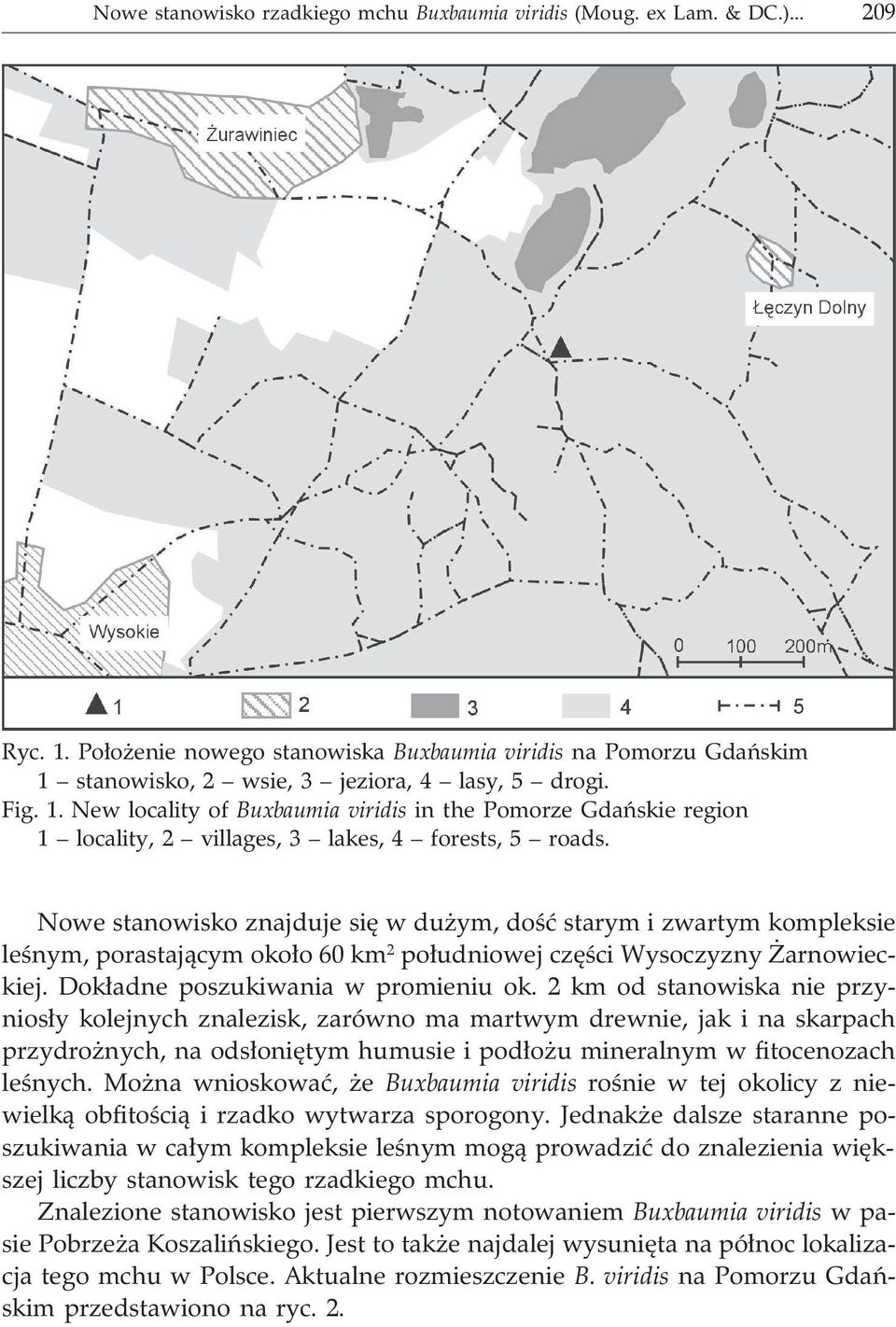 Nowe stanowisko znajduje siê w du ym, doœæ starym i zwartym kompleksie leœnym, porastaj¹cym oko³o 60 km 2 po³udniowej czêœci Wysoczyzny arnowieckiej. Dok³adne poszukiwania w promieniu ok.