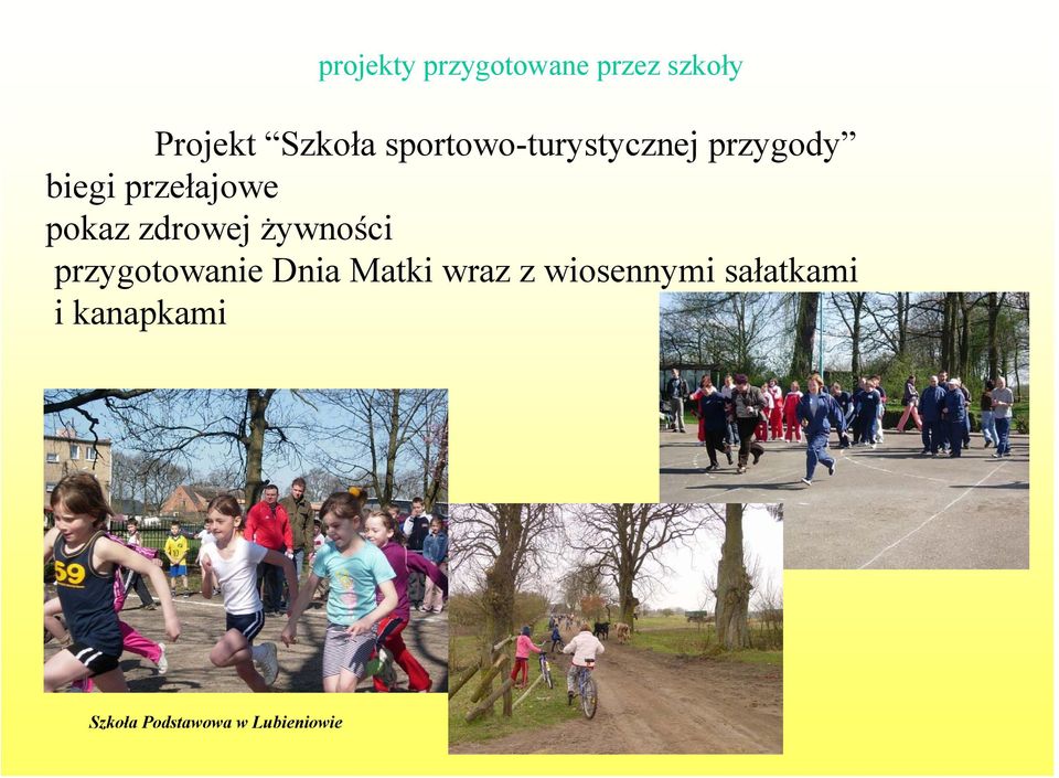 przygotowanie Dnia Matki wraz z wiosennymi