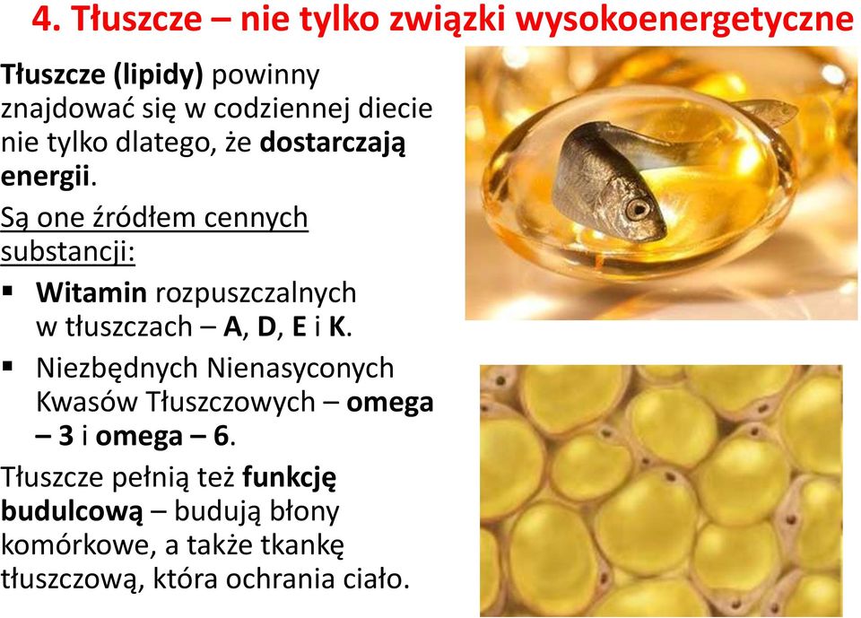 Są one źródłem cennych substancji: Witamin rozpuszczalnych w tłuszczach A, D, E i K.