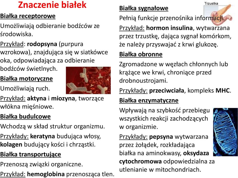 Przykład: aktyna i miozyna, tworzące włókna mięśniowe. Białka budulcowe Wchodzą w skład struktur organizmu. Przykłady: keratyna budująca włosy, kolagen budujący kości i chrząstki.