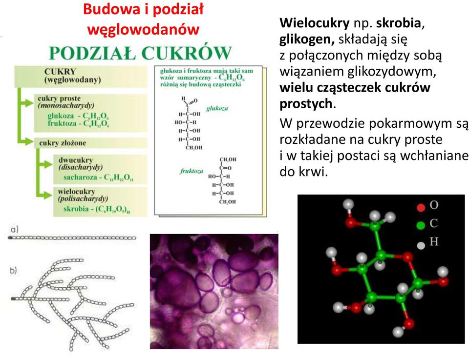 wiązaniem glikozydowym, wielu cząsteczek cukrów prostych.