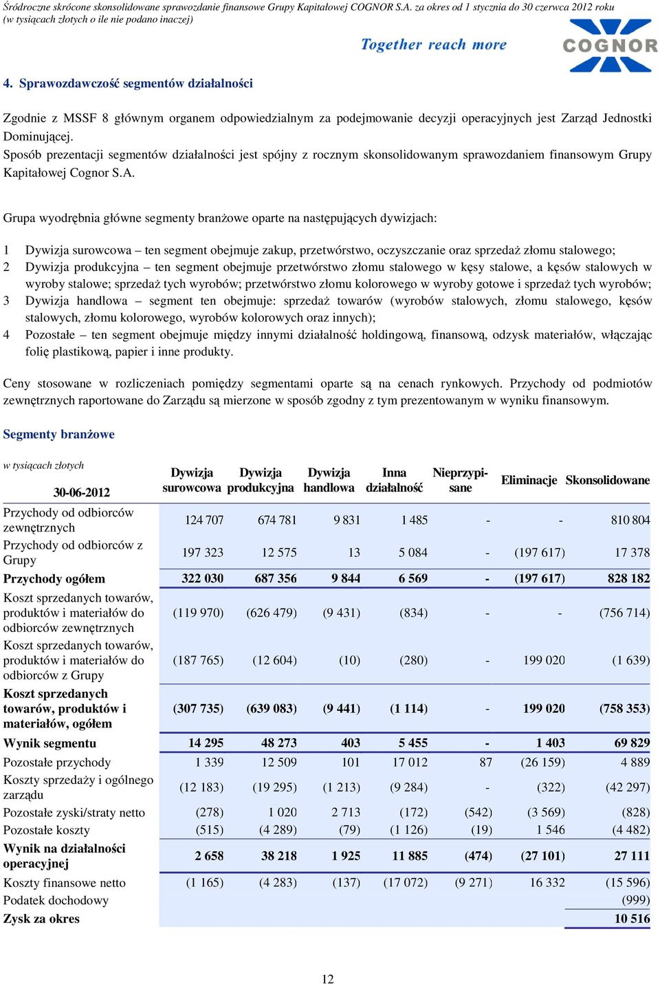 Grupa wyodrębnia główne segmenty branŝowe oparte na następujących dywizjach: 1 Dywizja surowcowa ten segment obejmuje zakup, przetwórstwo, oczyszczanie oraz sprzedaŝ złomu stalowego; 2 Dywizja