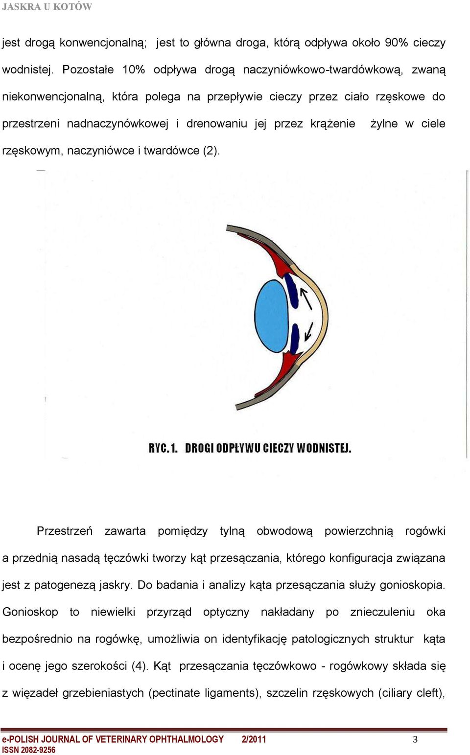 żylne w ciele rzęskowym, naczyniówce i twardówce (2).