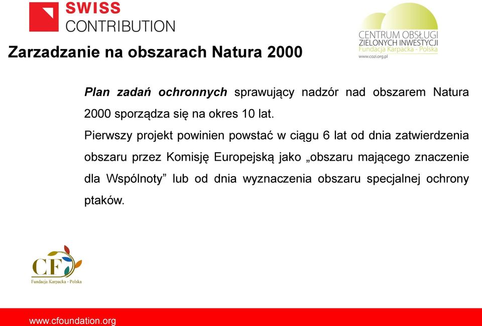 Pierwszy projekt powinien powstać w ciągu 6 lat od dnia zatwierdzenia