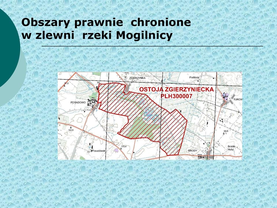 chronione w